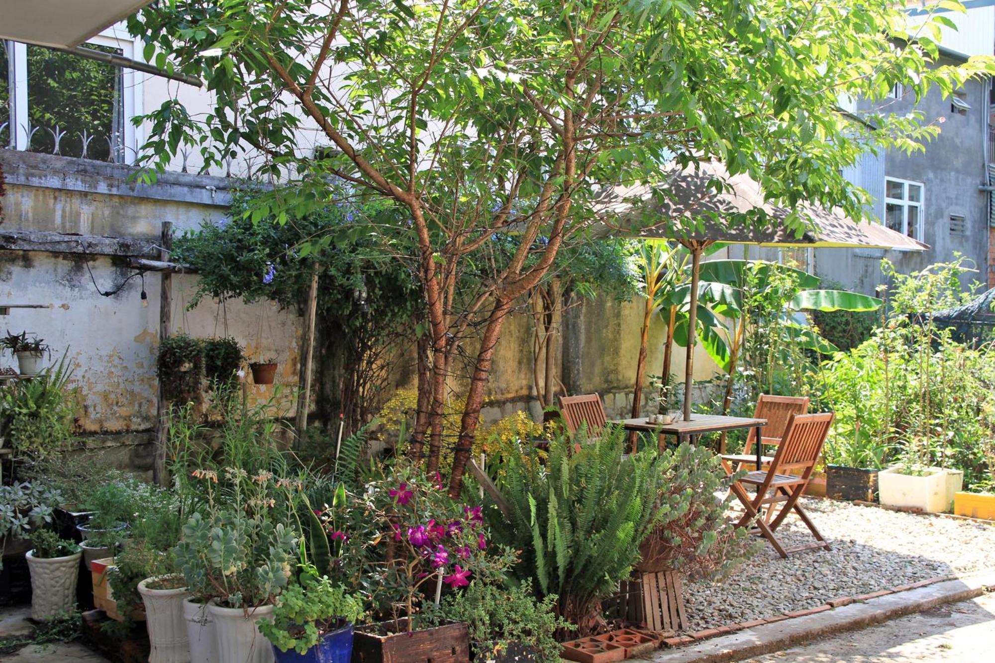 Homestaynhatuiminh ดาลัด ภายนอก รูปภาพ