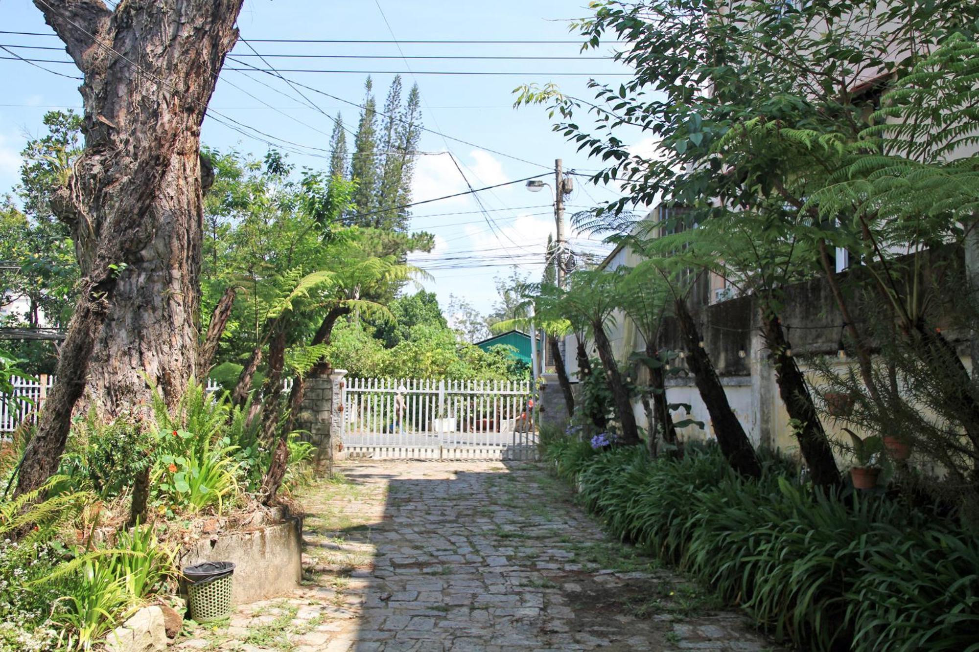 Homestaynhatuiminh ดาลัด ภายนอก รูปภาพ